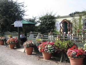 Primrose Cottage Nursery